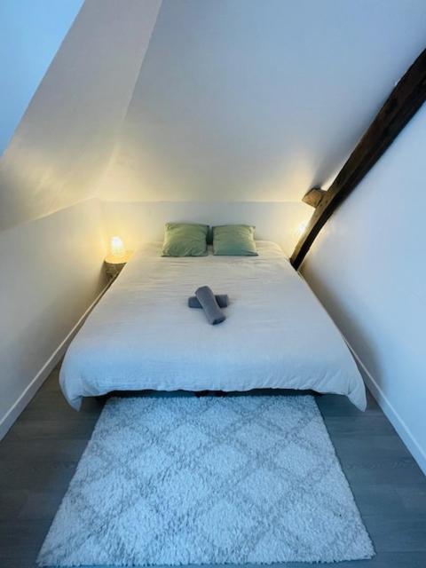 Appartement Le Duplex - Hyper Centre-ville - 6 Voyageurs *